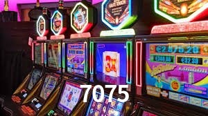 Experiência VIP 7075