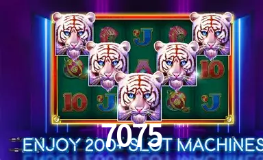 A Emoção da Loteria na 7075: Uma Chance de Mudança de Vida