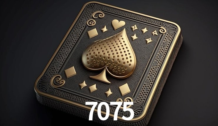 Sistemas de Segurança 7075