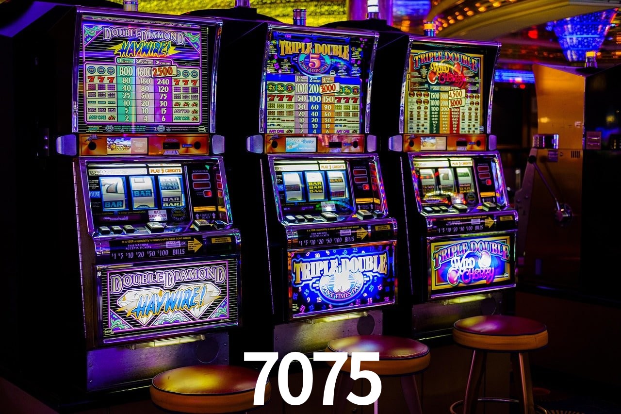 Login Seguro 7075